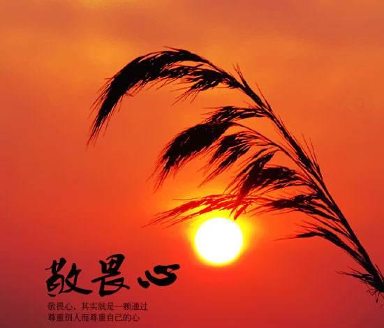 11月26日,比特币滑铁卢事件。爆仓无数,哀嚎遍野!5 11月26日,比特币滑铁卢事件。爆仓无数,哀嚎遍野!5