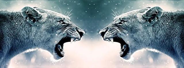 币圈群雄逐鹿，“三国杀”变币安、火币二分天下？