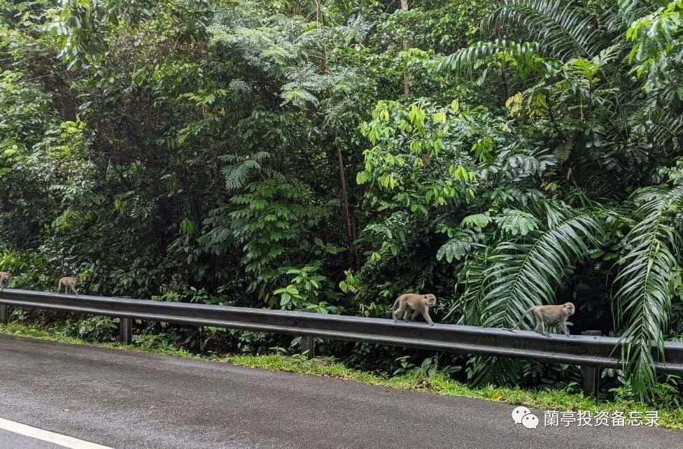 ETH创始人V神2020总结：Crypto and Beyond3