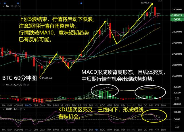 BTC和ETH分析1 BTC和ETH分析1