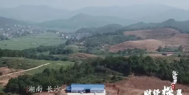 币圈大佬覆灭记:存虚拟币赚高收益,互联网+传销、一年收割400亿2 币圈大佬覆灭记:存虚拟币赚高收益,互联网+传销、一年收割400亿2