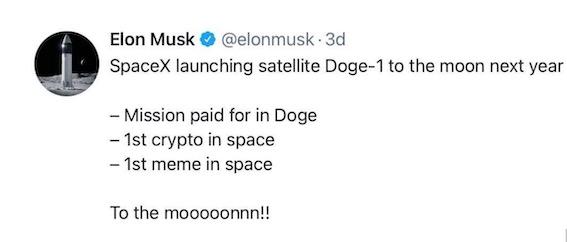 比特币崩盘，山寨币野蛮收割韭菜，谁来整治带货者“马斯克们”？2