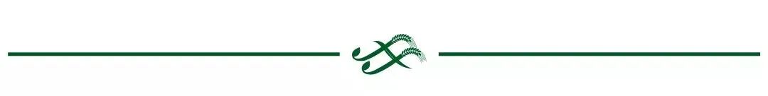 【中文版完整版】Filecoin白皮书！