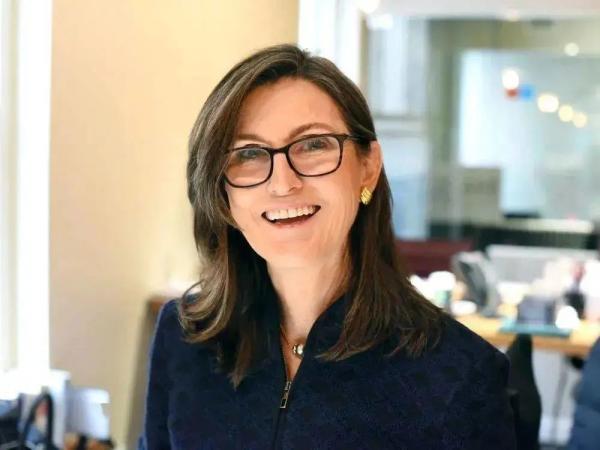 牛市女皇:比特币涨破50000美元关口!看高到40万美元2 牛市女皇:比特币涨破50000美元关口!看高到40万美元2