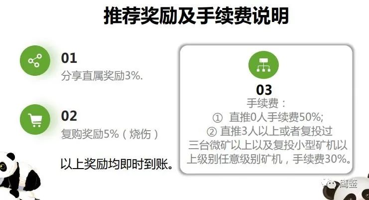【区块链的圈套】“熊猫生态”就是打着区块链的传销圈套3
