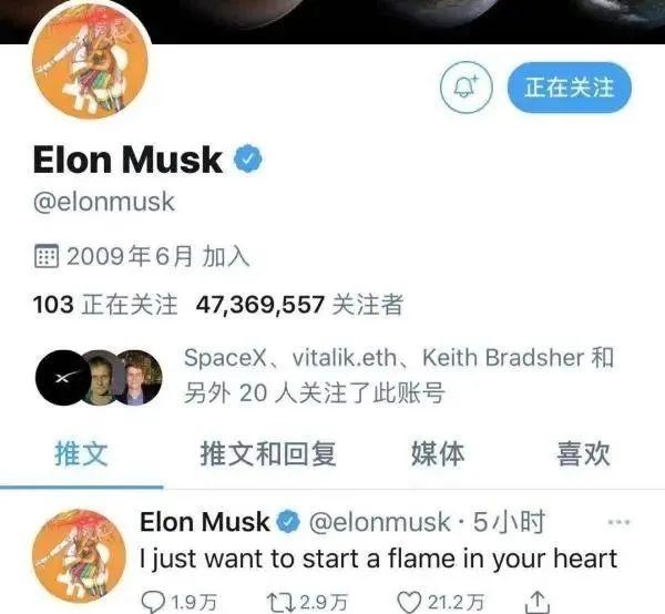 涨11倍！狗狗币火了，比特币飙至5.7万美元