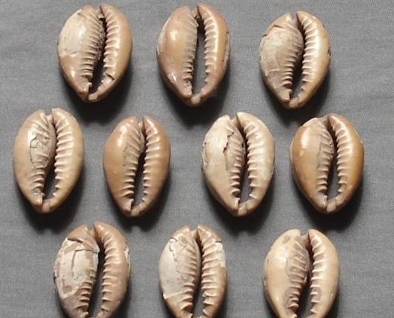 比特币10年上涨1000万倍，为什么有的「钱」更值钱？1