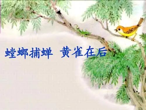 比特币与特斯拉暴跌的圈套 | 天下考察局5 比特币与特斯拉暴跌的圈套 | 天下考察局5