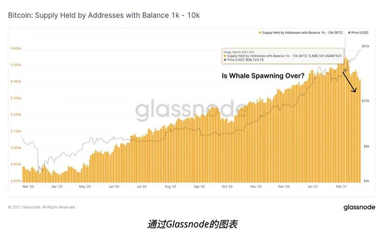 机构和矿工在比特币下跌期间纷纷抄底，巨鲸动作未明1