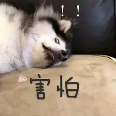 区块链成骗术新“画皮”，这些区块链都是圈套1