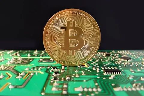 比特币暴跌 高杠杆投机者损失惨重 比特币暴跌 高杠杆投机者损失惨重